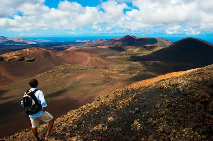 Arrecife/Playa Blanca: Timanfaya National Park Area Day Tour - Geothermal demonstrations at Islote de Hilario