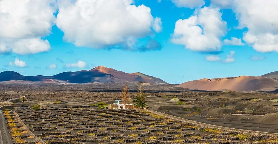 Arrecife: Timanfaya and Green Lagoon for Cruise Passengers - The Green Lagoon and Lanzarote’s black-sand coast