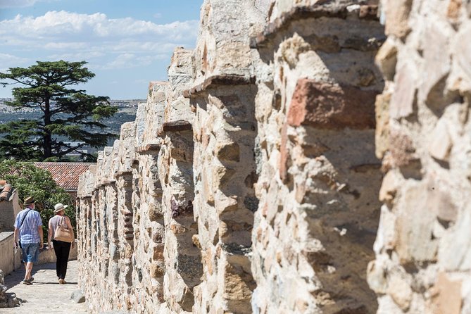 Avila with Walls and Segovia with Alcazar from Madrid - Avila Cathedral and the Basilica of Saint Vincent