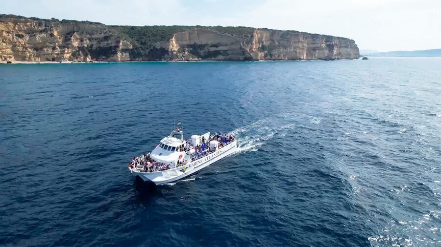 Barbate: Dolphin and Whale Watching in Cape Trafalgar - What the guides add to the outing