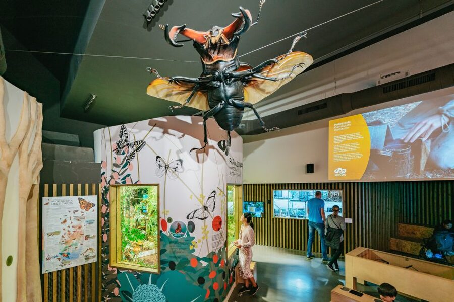 Barcelona: 1-Day Ticket to Barcelona Zoo - A full day among animals in Ciutadella Park