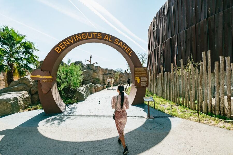 Barcelona: 1-Day Ticket to Barcelona Zoo - Should you book the one-day ticket?