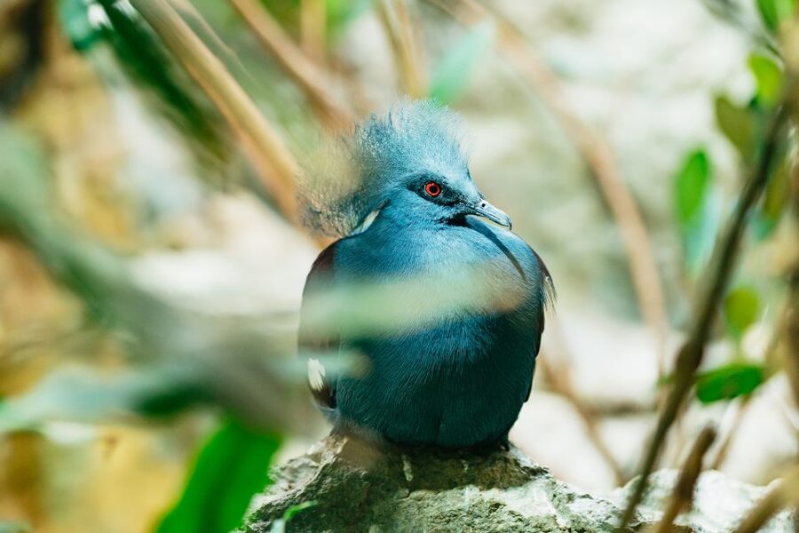 Barcelona: 1-Day Ticket to Barcelona Zoo - A route that works for families