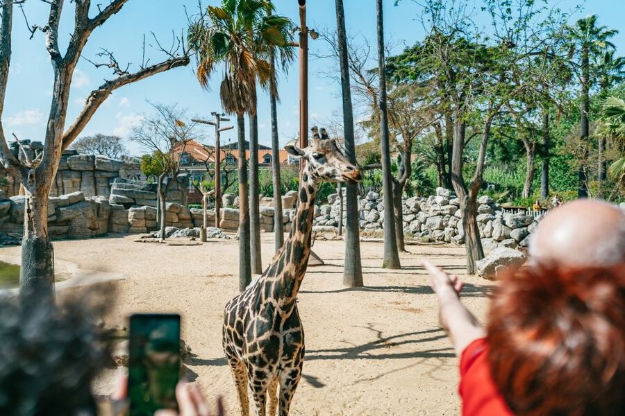 Barcelona: 1-Day Ticket to Barcelona Zoo - Is the $27 price good value?