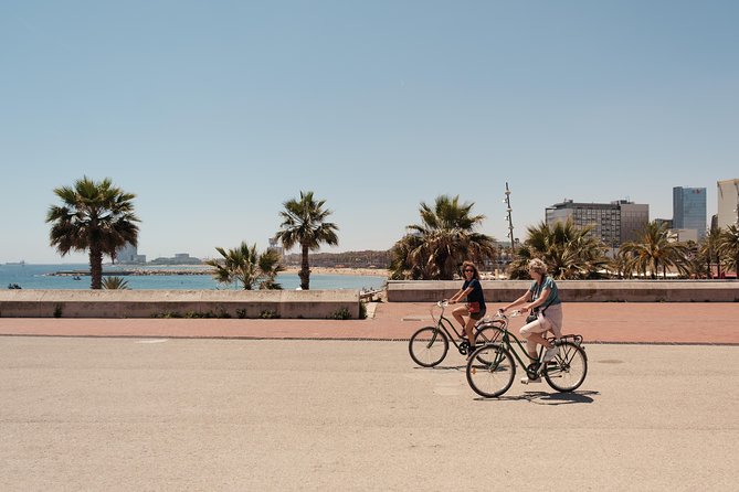 Barcelona 3-hour Bike or E-Bike Tour: Highlights and Hidden Gems - Plaça del Rei, the cathedral, and Catalan Gothic