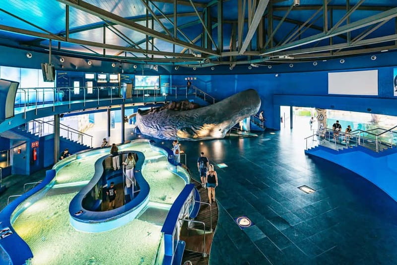 Barcelona Aquarium: Entry Ticket - Who should book it?