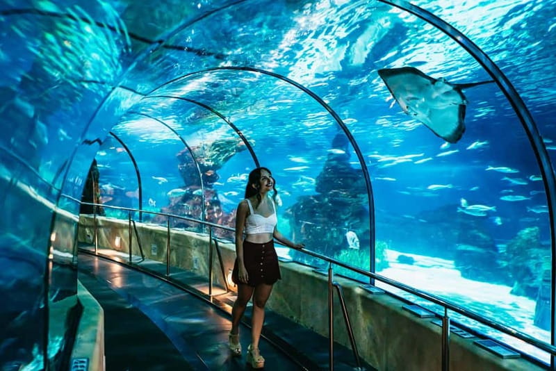 Barcelona Aquarium: Entry Ticket - A visit that works well for families