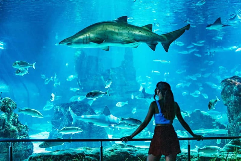 Barcelona Aquarium: Entry Ticket - Is the $31 ticket good value?