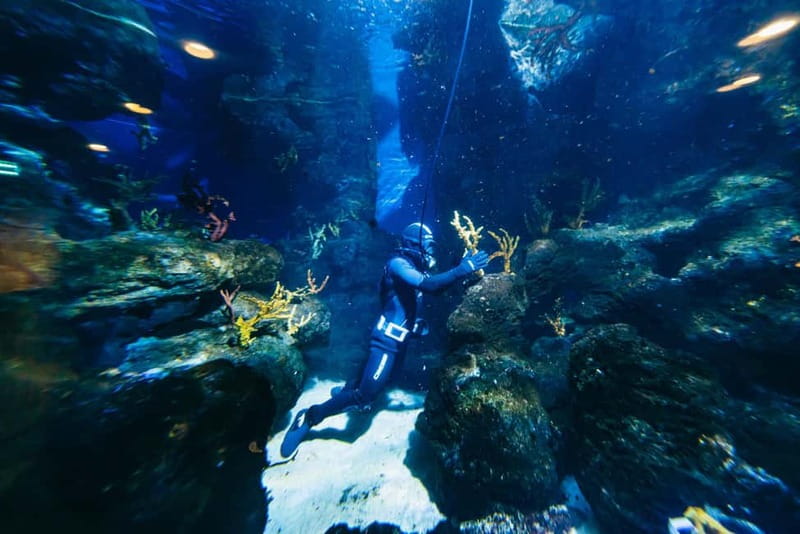 Barcelona Aquarium: Entry Ticket - Accessibility and practical comfort