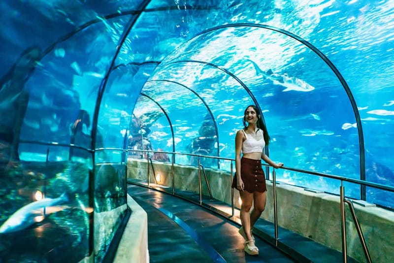 Barcelona Aquarium: Entry Ticket - What makes this aquarium different from a basic fish exhibit?