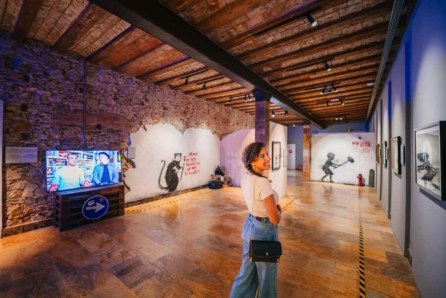 Barcelona: Banksy Museum, Permanent Exhibition Ticket - Who will get the most from this visit