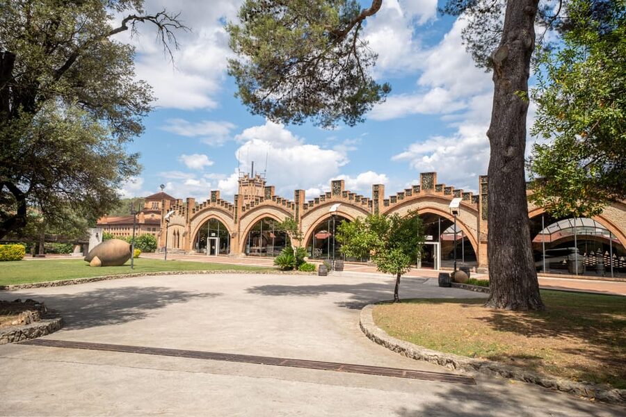Barcelona: Casa Codorníu Guided Tour with Cava Tastings - Who will enjoy this visit most?