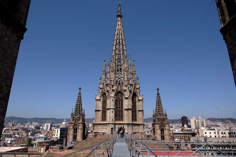 Barcelona: Cathedral of Barcelona Entry Ticket - The cloister, chapels, and dancing egg