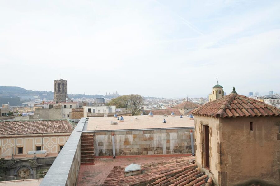 Barcelona Cathedral: Ticket, Guided Tour and VR Experience - Timing, group size, and guide quality