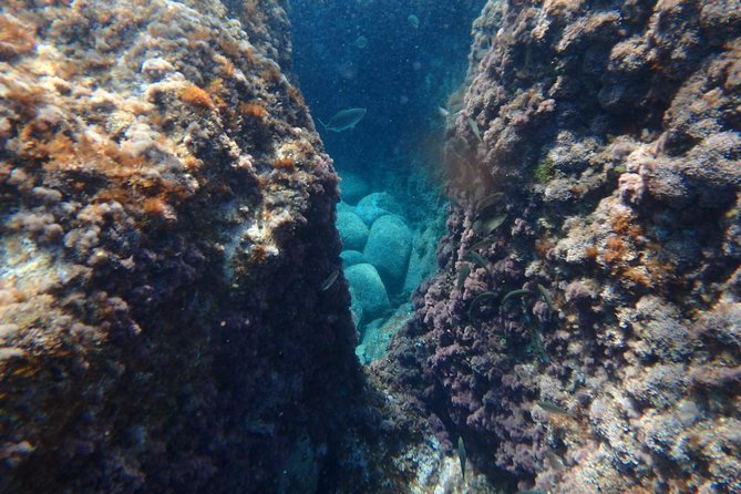 Barcelona Costa Brava Kayak, Snorkel & Cliff Jump Day Tour - How the guides shape the day