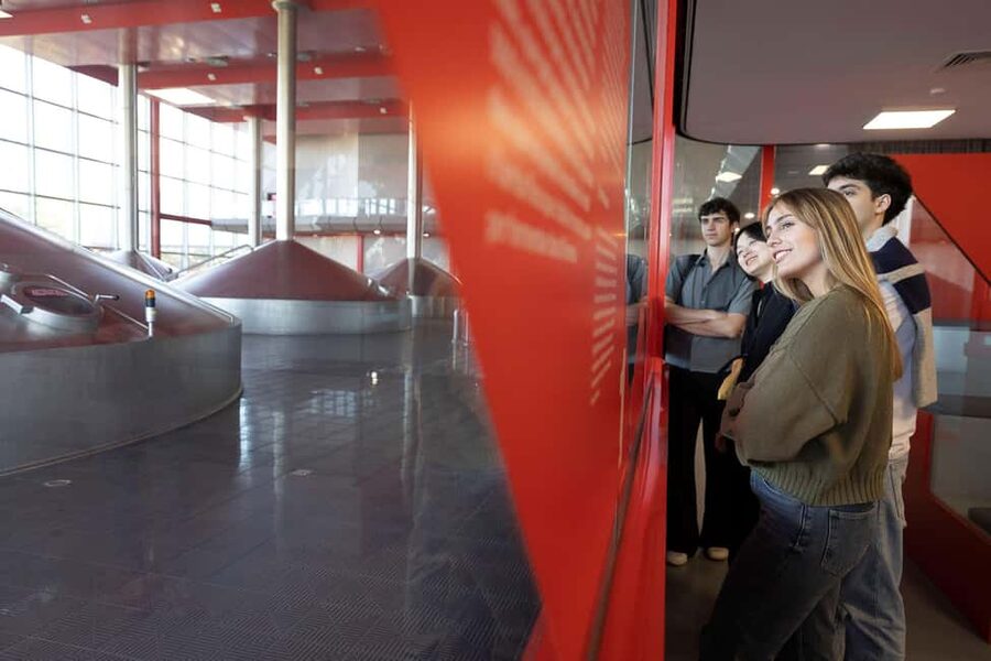 Barcelona: Estrella Damm Brewery Guided Tour with Tasting - Why Estrella Damm makes a good brewery visit