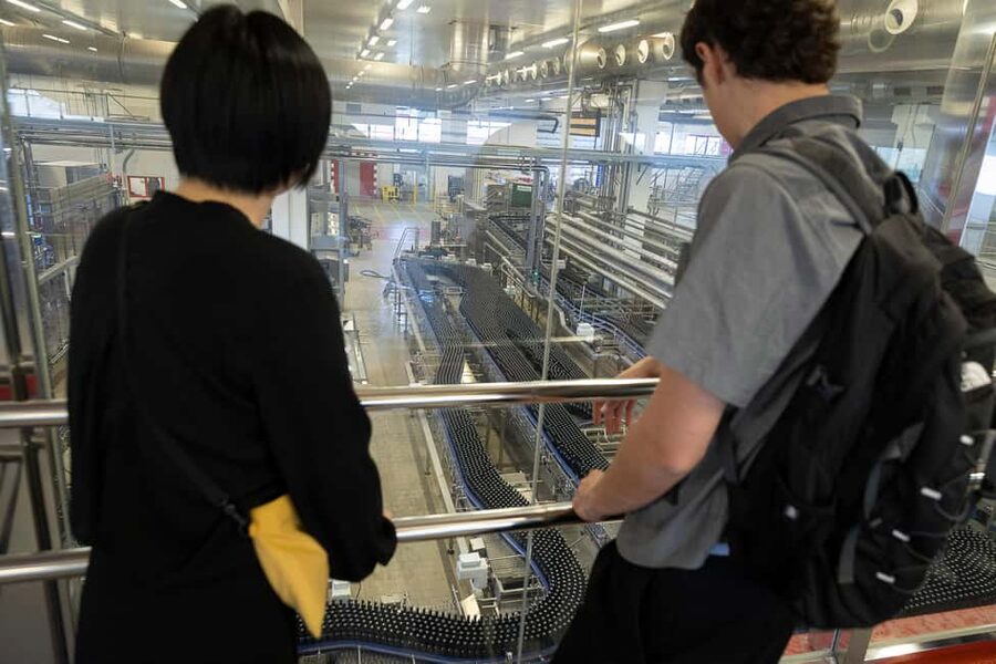 Barcelona: Estrella Damm Brewery Guided Tour with Tasting - The brewing process, from grain to glass