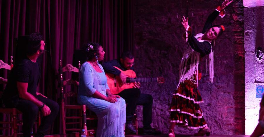 Barcelona: Flamenco Show at Palau Dalmases - Key points to know before booking