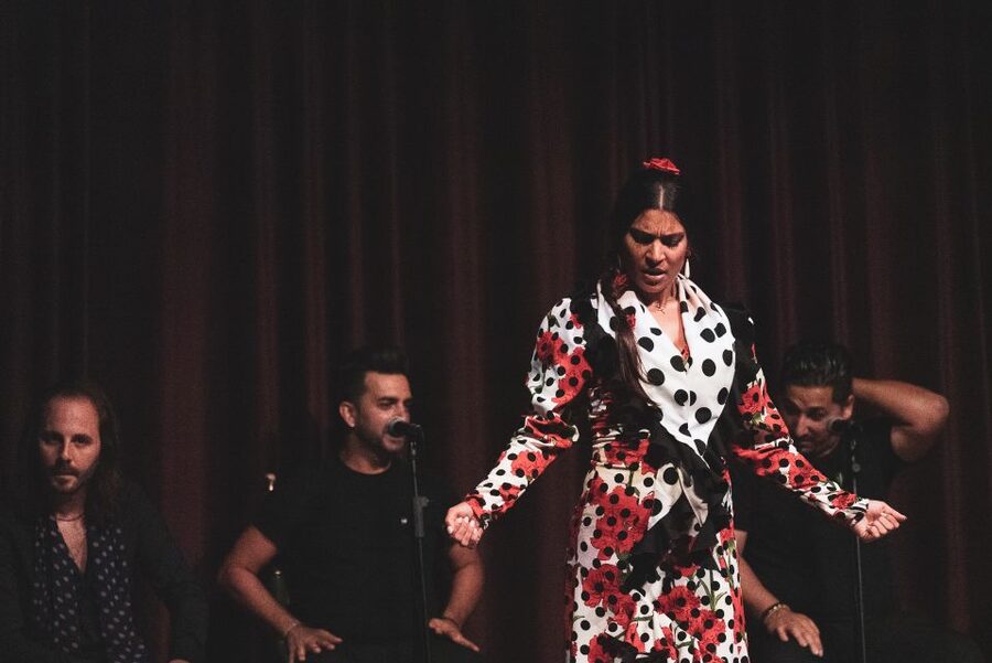 Barcelona: Flamenco Show at Palau Dalmases - What happens during the 50 to 55-minute performance