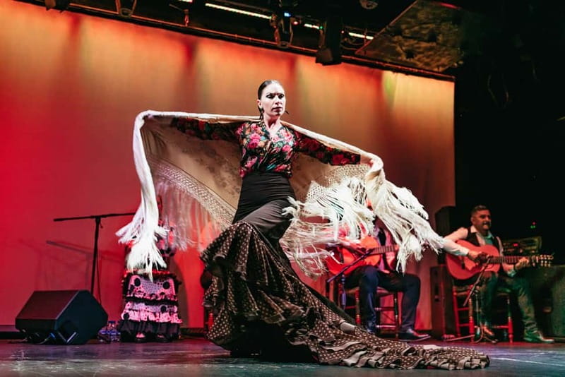 Barcelona: Flamenco Show at the Theater - Who will enjoy this most