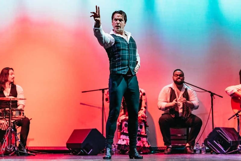 Barcelona: Flamenco Show at the Theater - The dancers, singers, and musicians