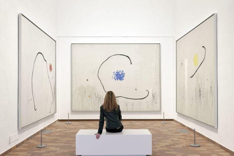Barcelona: Fundació Joan Miró Skip-the-Line Entry Ticket - Should you book the Fundació Joan Miró ticket?