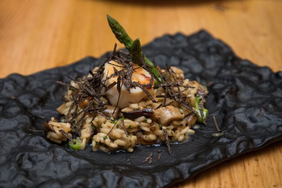 Barcelona Gourmet Food & Wine Tour with Local Expert - Timing, flexibility, and useful planning tips