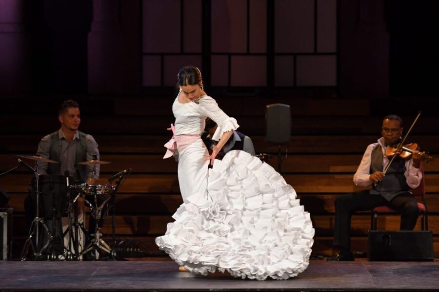 Barcelona: Gran Gala Flamenco Show Entry Ticket - What Gran Gala Flamenco is really offering