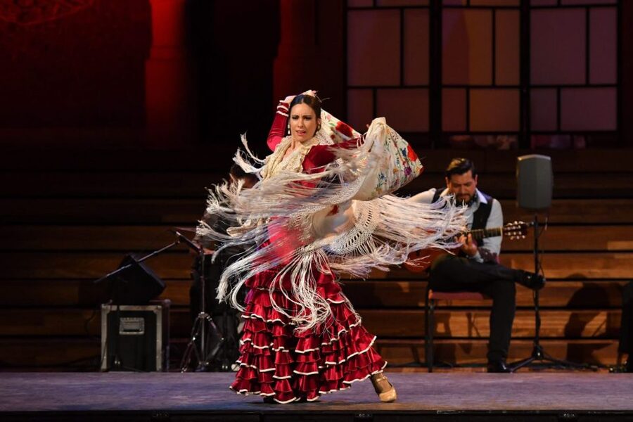 Barcelona: Gran Gala Flamenco Show Entry Ticket - The music, movement, and people on stage