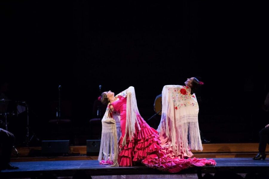 Barcelona: Gran Gala Flamenco Show Entry Ticket - The Palau before the performance