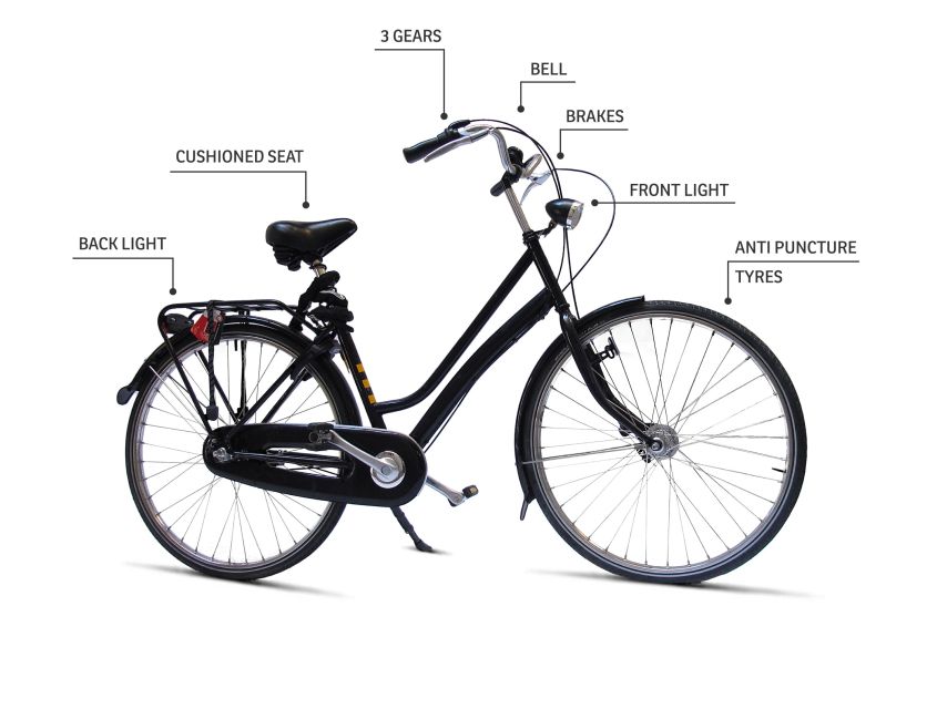 Barcelona Highlights Bike Tour: Cycle along the beach! - Sagrada Família and La Monumental