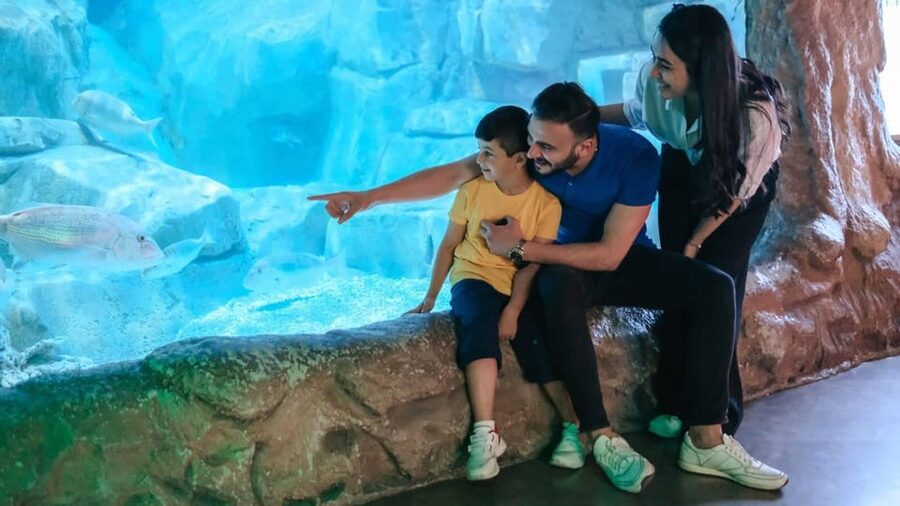 Barcelona: Hop-On Hop-Off Bus & Aquarium Tour - Starting at Plaça Catalunya
