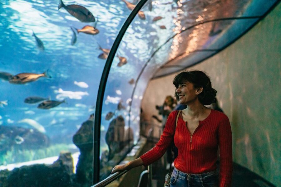 Barcelona: Hop-On Hop-Off Bus & Aquarium Tour - Orange West Route: Montjuïc, museums, and Camp Nou