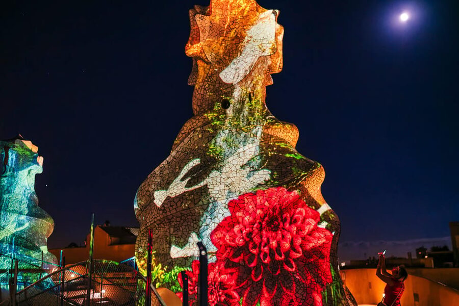 Barcelona: La Pedrera Night Experience - The rooftop video-mapping finale