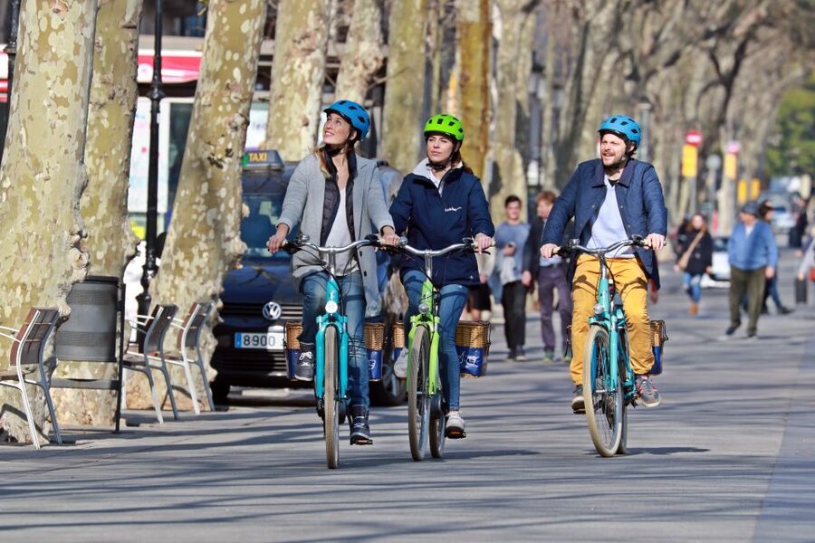 Barcelona: Montjuic Hill E-Bike Tour - Pedró Square, El Raval, and the Gothic Quarter