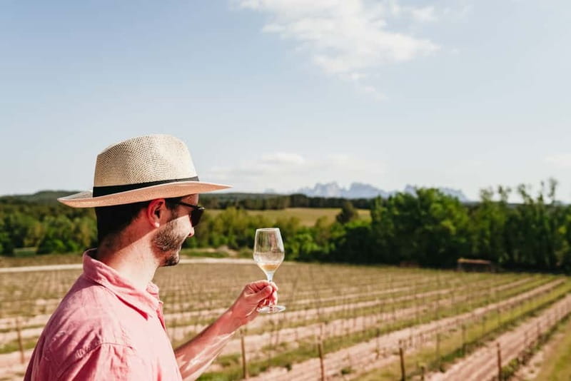Barcelona: Montserrat and Winery Tour with Tapas or Lunch - Tapas brunch or a multi-course lunch