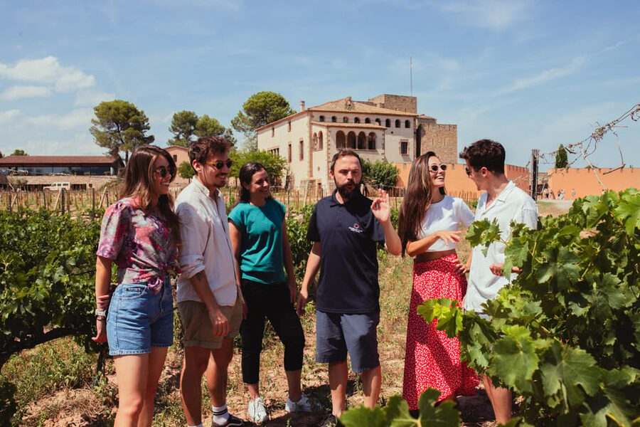 Barcelona: Montserrat with Winery, Lunch, and Train Options - Arriving at the Montserrat Monastery