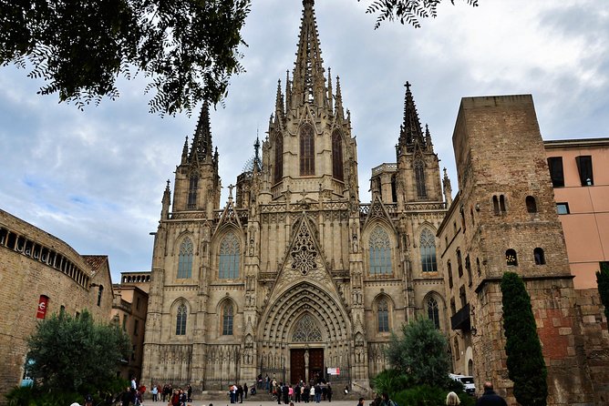 Barcelona Old Town & Gothic Quarter Small Group Tour - Plaça Reial and the Gothic Quarter’s open room