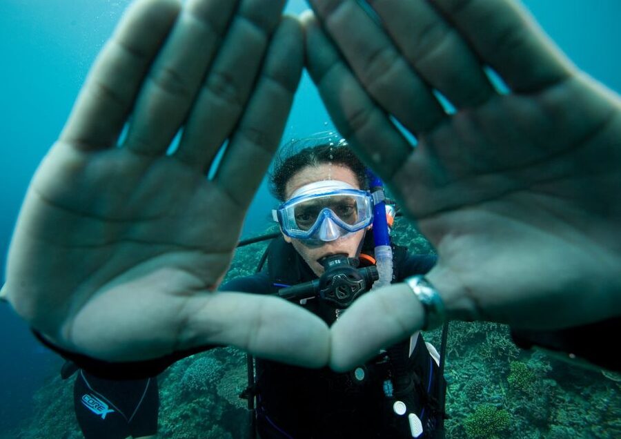 Barcelona: PADI Discover Scuba Diving - What you may see below Barcelona