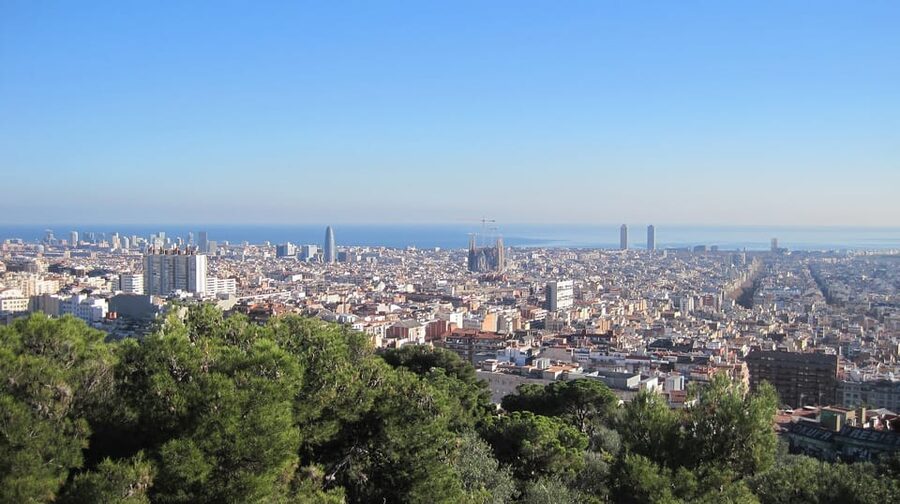 Barcelona: Park Güell Guided Tour - The main weakness: one hour and a large group