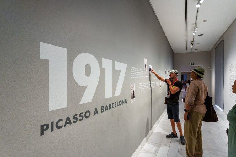 Barcelona: Picasso Museum Skip-the-Line Guided Tour - Why a guide helps at the Picasso Museum