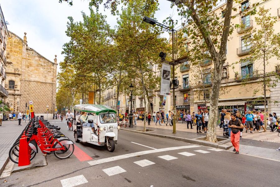 Barcelona: Private City Tour by Eco Tuk Tuk - The guides make the difference