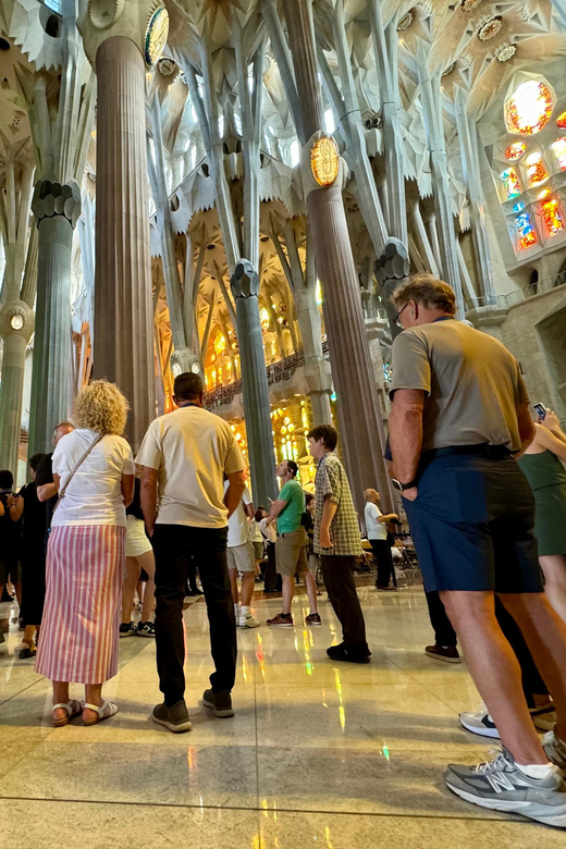 Barcelona: Sagrada Familia Entry Ticket and Guided Tour - Who should book this Sagrada Familia tour?