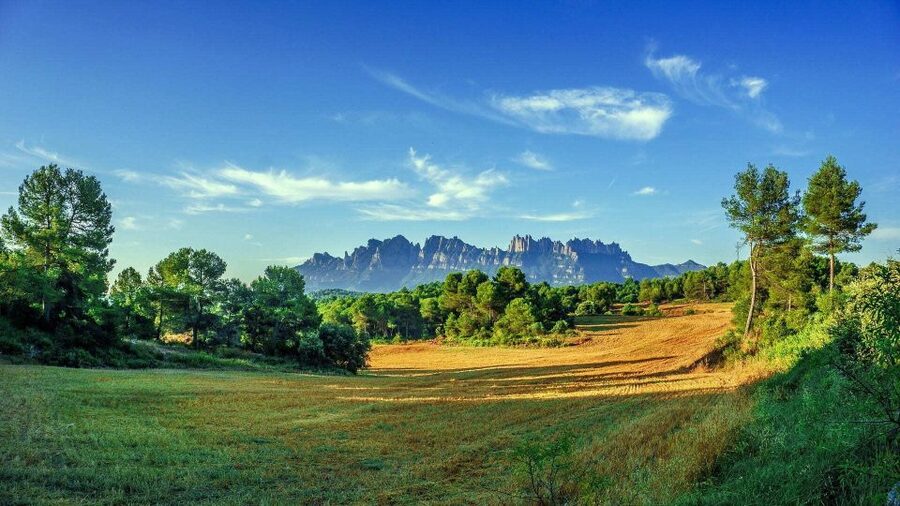 Barcelona: Sagrada Familia & Montserrat Full-Day with Pickup - Price, group size, and what you really receive