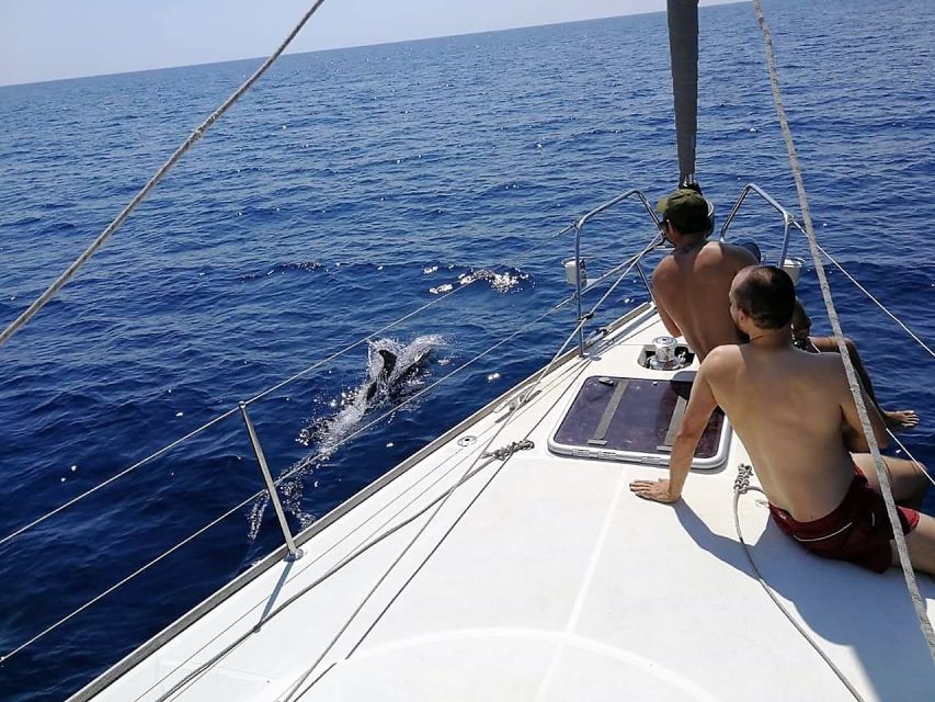 Barcelona: Sailing Trip with Drinks and Snacks - The 30-minute pause for swimming, photos, and drinks