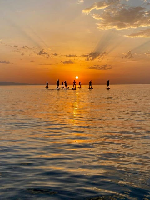Barcelona: Sunrise Standup Paddle Tour w/ 4K Video & Coffee - The first lesson: simple skills before the sea