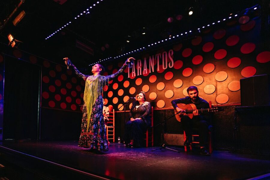 Barcelona: Tapas and Flamenco Experience - The flamenco performance near Plaça Reial