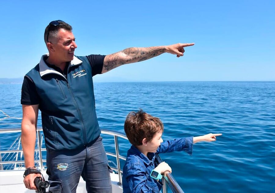 Benalmadena: Dolphin Watching Boat Tour - Key points at a glance