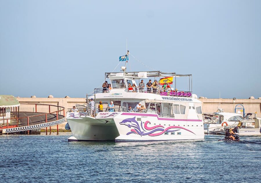 Benalmadena: Dolphin Watching Boat Tour - Coastal views toward Fuengirola