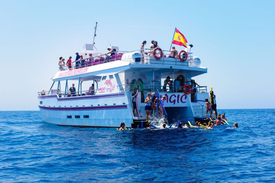 Benalmadena: Dolphin Watching Boat Tour - The optional summer swim